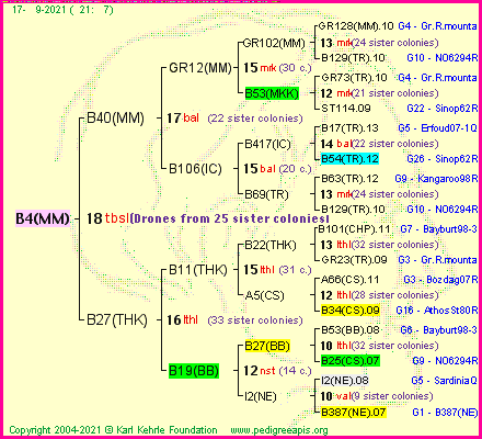 Pedigree of B4(MM) :
four generations presented
it's temporarily unavailable, sorry!