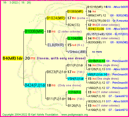 Pedigree of B4(MR)1dr :
four generations presented
it's temporarily unavailable, sorry!