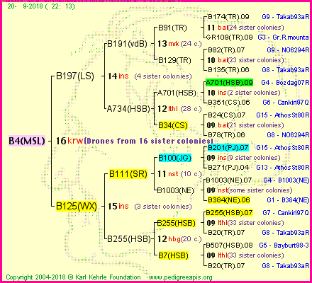 Pedigree of B4(MSL) :
four generations presented<br />it's temporarily unavailable, sorry!