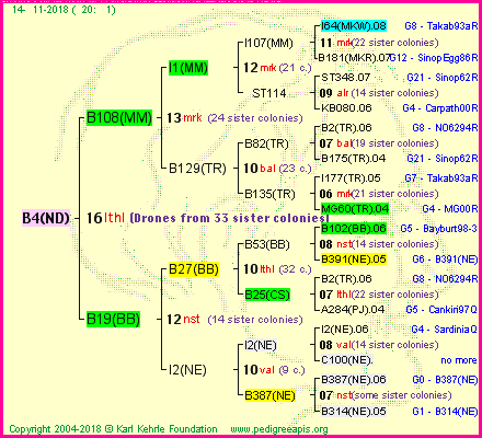 Pedigree of B4(ND) :
four generations presented
it's temporarily unavailable, sorry!