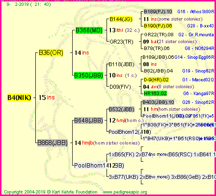 Pedigree of B4(NIK) :
four generations presented<br />it's temporarily unavailable, sorry!