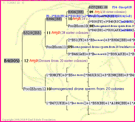 Pedigree of B4(OOS) :
four generations presented