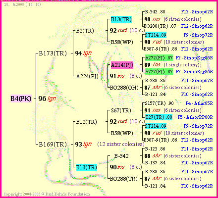 Pedigree of B4(PK) :
four generations presented
it's temporarily unavailable, sorry!