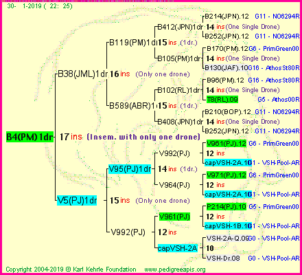 Pedigree of B4(PM)1dr :
four generations presented
it's temporarily unavailable, sorry!