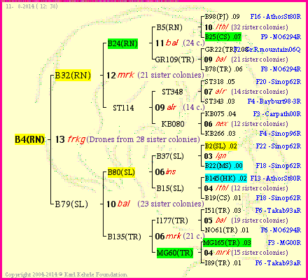 Pedigree of B4(RN) :
four generations presented