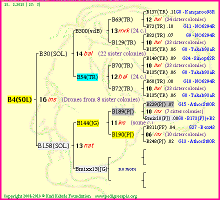 Pedigree of B4(SOL) :
four generations presented<br />it's temporarily unavailable, sorry!