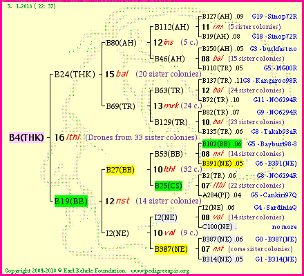 Pedigree of B4(THK) :
four generations presented