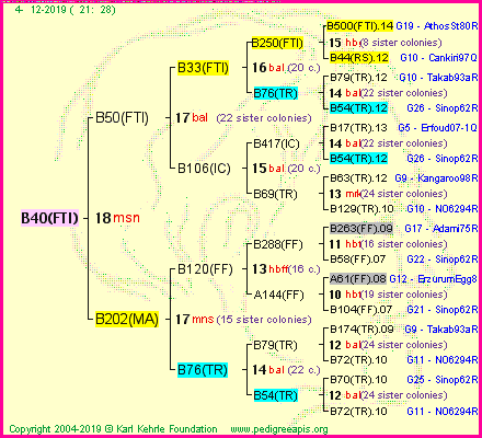 Pedigree of B40(FTI) :
four generations presented<br />it's temporarily unavailable, sorry!