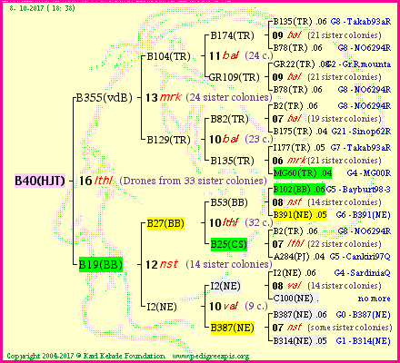 Pedigree of B40(HJT) :
four generations presented<br />it's temporarily unavailable, sorry!