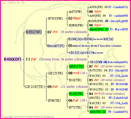 Pedigree of B40(KDF) :
four generations presented