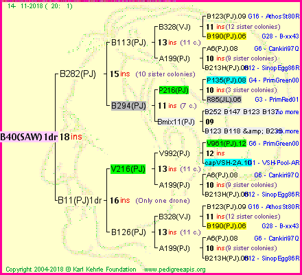 Pedigree of B40(SAW)1dr :
four generations presented<br />it's temporarily unavailable, sorry!