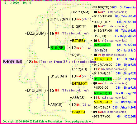 Pedigree of B40(SUM) :
four generations presented<br />it's temporarily unavailable, sorry!