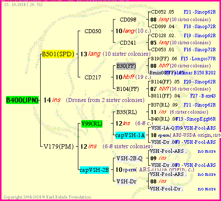 Pedigree of B400(JPN) :
four generations presented