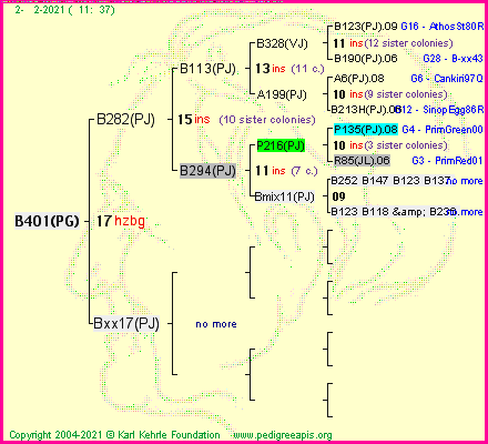 Pedigree of B401(PG) :
four generations presented
it's temporarily unavailable, sorry!