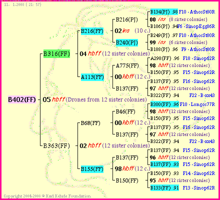 Pedigree of B402(FF) :
four generations presented