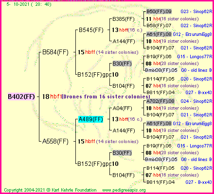 Pedigree of B402(FF) :
four generations presented
it's temporarily unavailable, sorry!