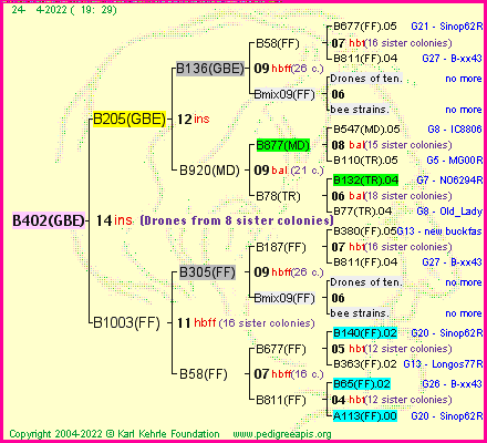 Pedigree of B402(GBE) :
four generations presented
it's temporarily unavailable, sorry!