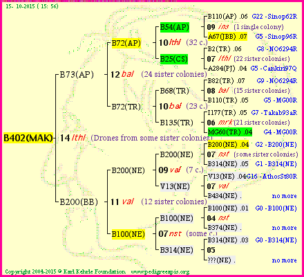 Pedigree of B402(MAK) :
four generations presented