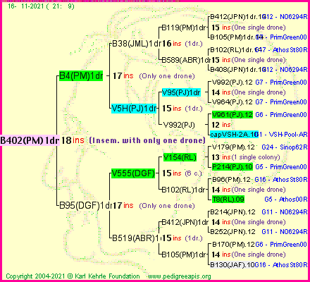 Pedigree of B402(PM)1dr :
four generations presented
it's temporarily unavailable, sorry!