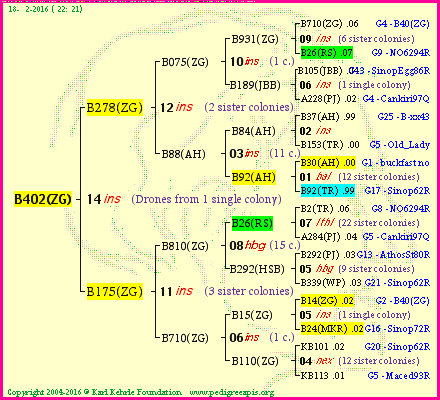 Pedigree of B402(ZG) :
four generations presented