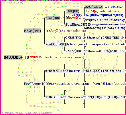 Pedigree of B403(JBB) :
four generations presented