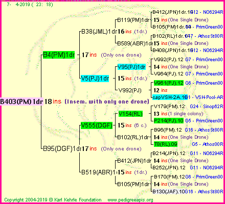 Pedigree of B403(PM)1dr :
four generations presented
it's temporarily unavailable, sorry!