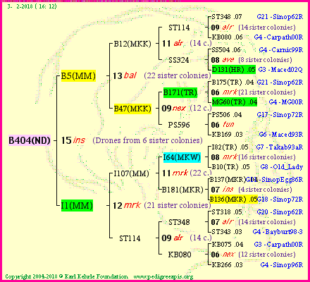 Pedigree of B404(ND) :
four generations presented<br />it's temporarily unavailable, sorry!