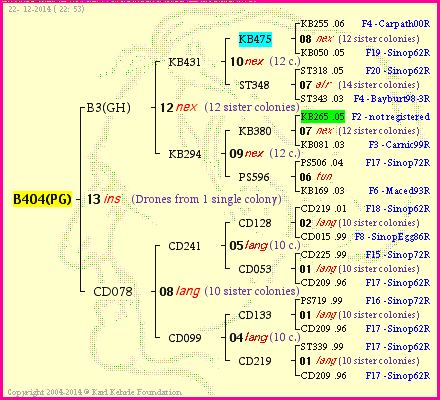 Pedigree of B404(PG) :
four generations presented