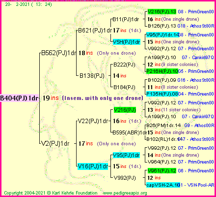 Pedigree of B404(PJ)1dr :
four generations presented
it's temporarily unavailable, sorry!