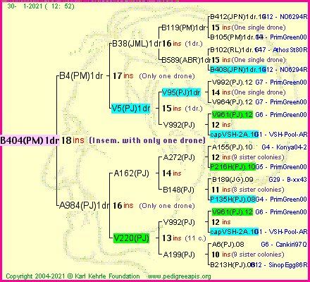 Pedigree of B404(PM)1dr :
four generations presented
it's temporarily unavailable, sorry!