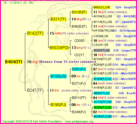 Pedigree of B404(TF) :
four generations presented<br />it's temporarily unavailable, sorry!