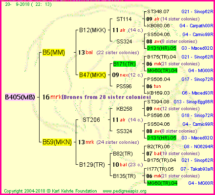 Pedigree of B405(MB) :
four generations presented<br />it's temporarily unavailable, sorry!