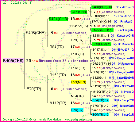 Pedigree of B406(CHB) :
four generations presented
it's temporarily unavailable, sorry!