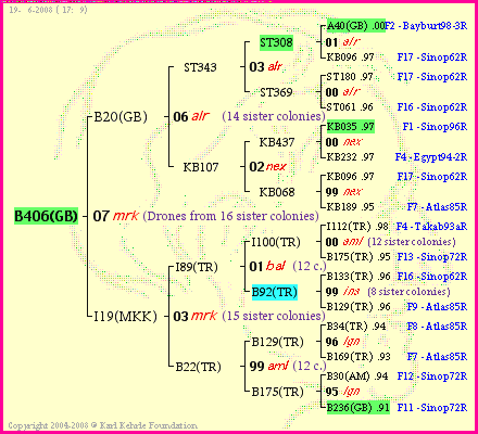 Pedigree of B406(GB) :
four generations presented