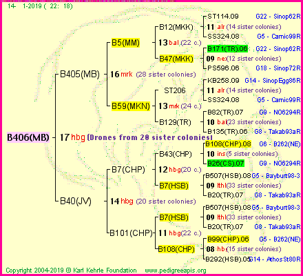 Pedigree of B406(MB) :
four generations presented<br />it's temporarily unavailable, sorry!