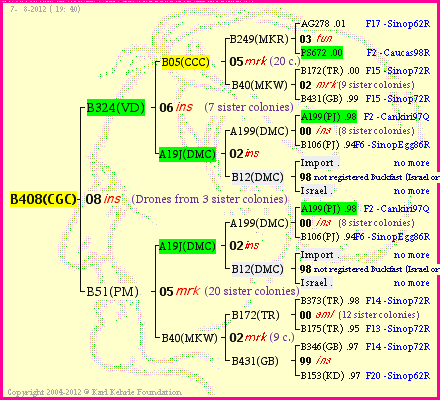 Pedigree of B408(CGC) :
four generations presented