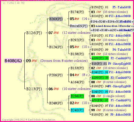 Pedigree of B408(JG) :
four generations presented