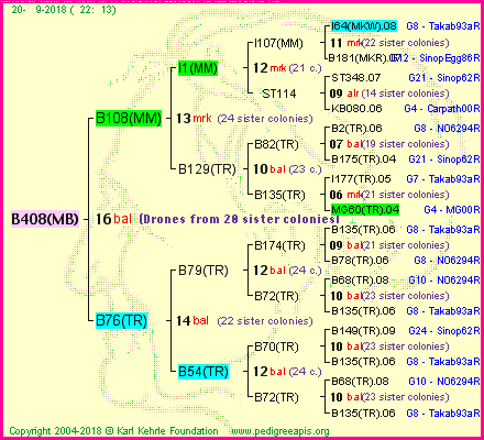 Pedigree of B408(MB) :
four generations presented<br />it's temporarily unavailable, sorry!