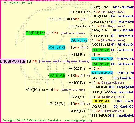 Pedigree of B408(PM)1dr :
four generations presented
it's temporarily unavailable, sorry!