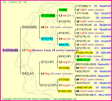 Pedigree of B409(MB) :
four generations presented<br />it's temporarily unavailable, sorry!