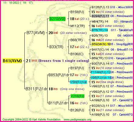 Pedigree of B41(AVM) :
four generations presented
it's temporarily unavailable, sorry!