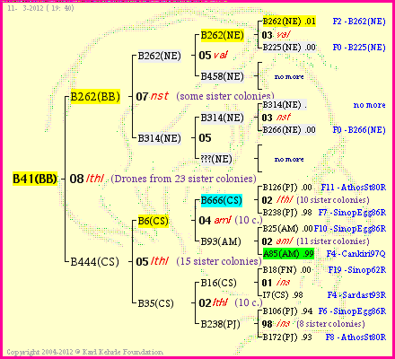 Pedigree of B41(BB) :
four generations presented