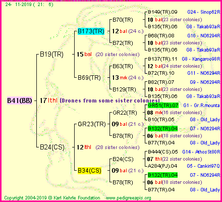 Pedigree of B41(BB) :
four generations presented<br />it's temporarily unavailable, sorry!