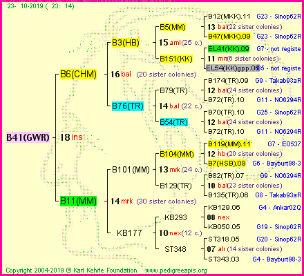 Pedigree of B41(GWR) :
four generations presented<br />it's temporarily unavailable, sorry!