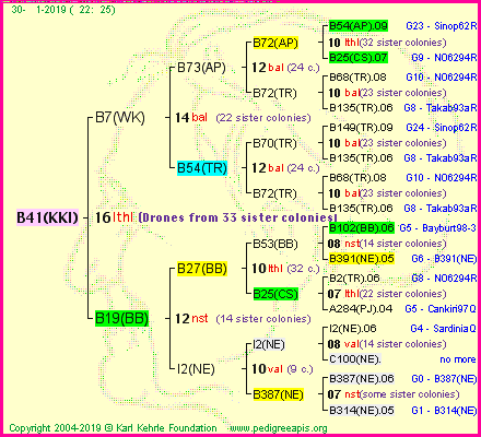 Pedigree of B41(KKI) :
four generations presented<br />it's temporarily unavailable, sorry!