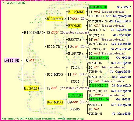 Pedigree of B41(TN) :
four generations presented<br />it's temporarily unavailable, sorry!