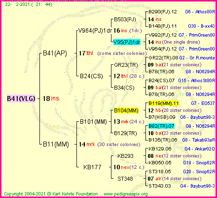 Pedigree of B41(VLG) :
four generations presented
it's temporarily unavailable, sorry!