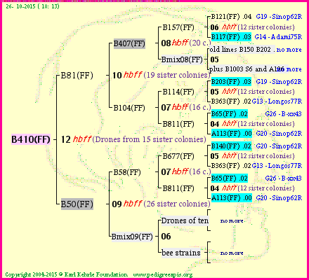 Pedigree of B410(FF) :
four generations presented
it's temporarily unavailable, sorry!