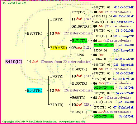 Pedigree of B410(IC) :
four generations presented