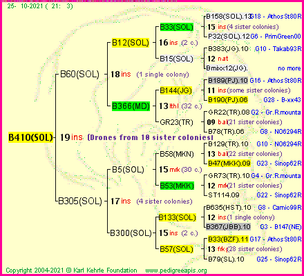 Pedigree of B410(SOL) :
four generations presented
it's temporarily unavailable, sorry!